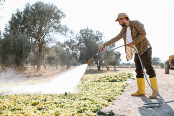 Electric pressure washers for cleaning turf