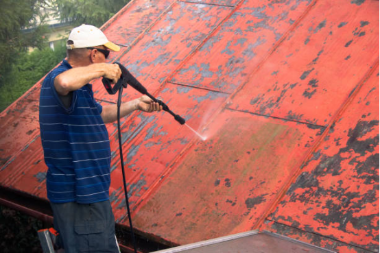 How to protect your roof from mold using an Electric Pressure Washer