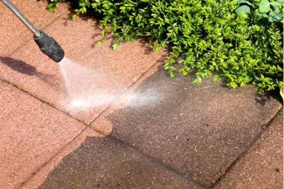 Electric Pressure Washer vs. Professional Cleaning Services