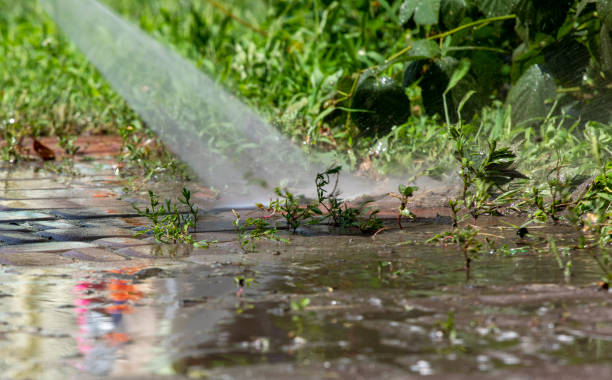 Powerful stream from an electric pressure washer removing weeds from patio cracks.