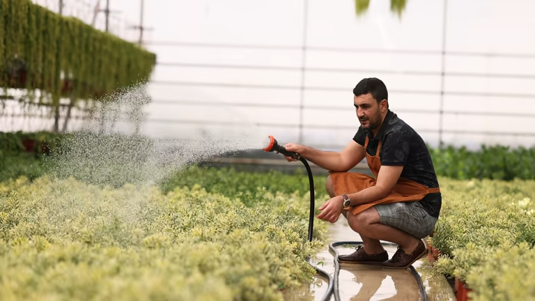 Man watering plants in greenhouse, an electric pressure washer offers more powerful cleaning.